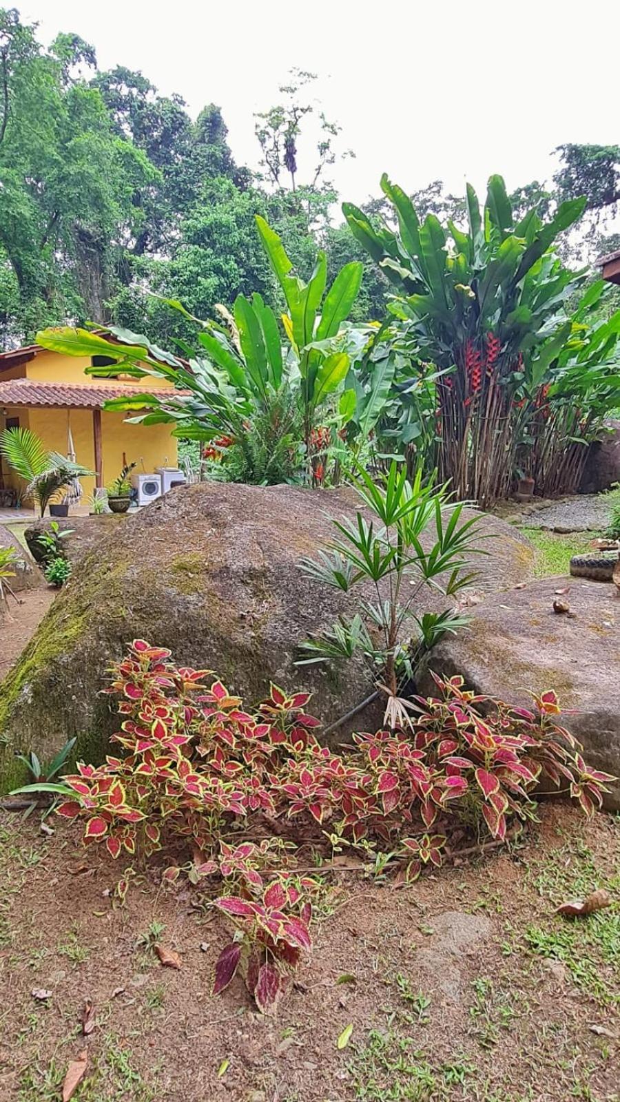 Recanto Da Margo 1, Casa Com Acesso A Cachoeira Paraty Exterior photo